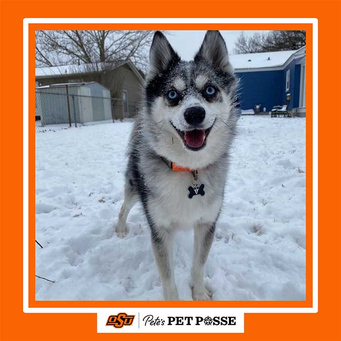 Carson Image Carson Image