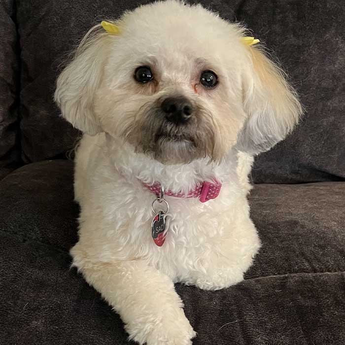 Sadie